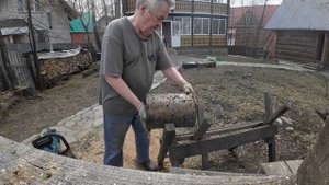 Распиливаю поленья рябины 20 апреля 2024 г