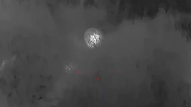 Встреча с барсуком 🦡iRay Rico RL 42 смотреть онлайн