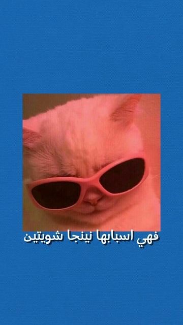 هو ايه الفرق بين الRacoon eye والblack eye؟🤓#medicine #طب ##medicalstudent #viral #اكسبلور смотреть онлайн