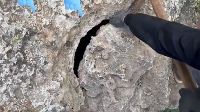 в поисках кладов с золотом!!!