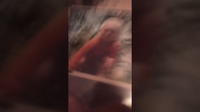 Детский Жанаозен смотреть онлайн