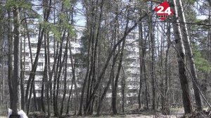 Энцефалита не было давно, а вот борреллиоз вполне возможен