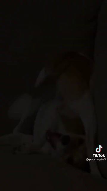 13 мая 2022 г. смотреть онлайн