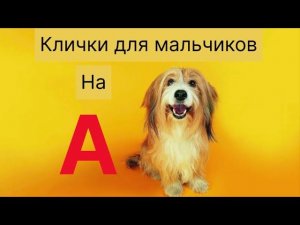 КРАСИВЫЕ  ИМЕНА  ДЛЯ МАЛЬЧИКОВ.