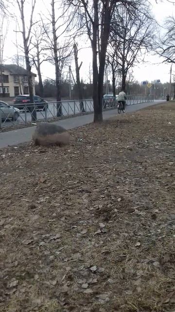 Город Псков улица Юбилейная #псков #улица #весна смотреть онлайн