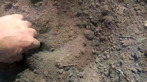 БДН 2.4..Бімба.як казав Азіров)))22 гектари за 10 годин