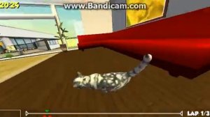 Прохождение игры Кошачьи гонки.