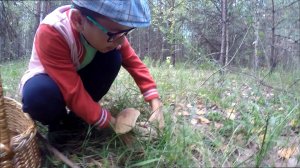 Отдых с Тимуром на Оке. Август 2020. Часть 1.