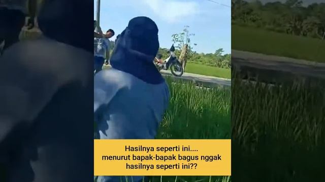 GAK TUNGGU LAMA.. HAMA WERENG, KUPU2 LANGSUNG AMMBYARR!!! смотреть онлайн