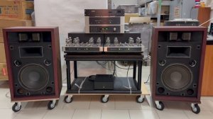 Напольная акустика Toshiba SS-100