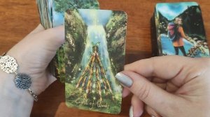 Обзор Таро Диких отражений.