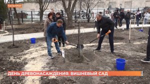 Вишнёвый сад возле Чеховской гимназии в Таганроге высадили в День древонасаждения