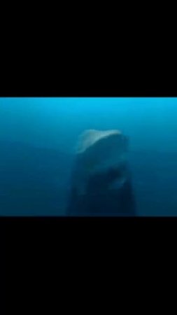 Megladon VS Mosasaurus #op #shorts #fypシ