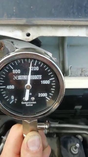 VID-20250217-WA0007