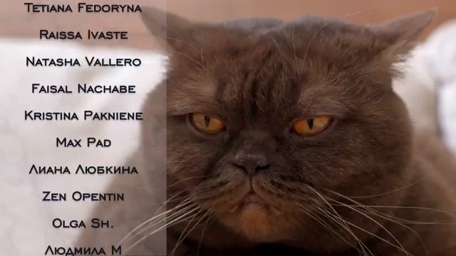 ОЧЕНЬ вкусный САЛАТ из свеклы за 5 минут! смотреть онлайн