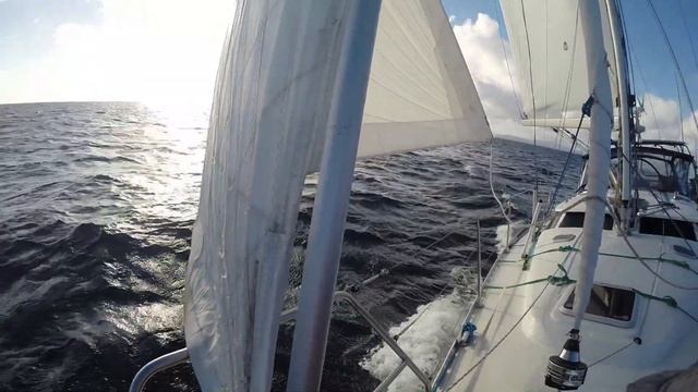 Monkey Fist sailing in New Zealand смотреть онлайн