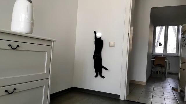 Вася