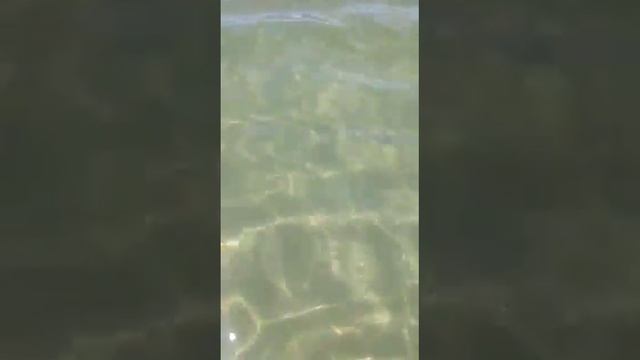 15 ноября 2018 г. смотреть онлайн