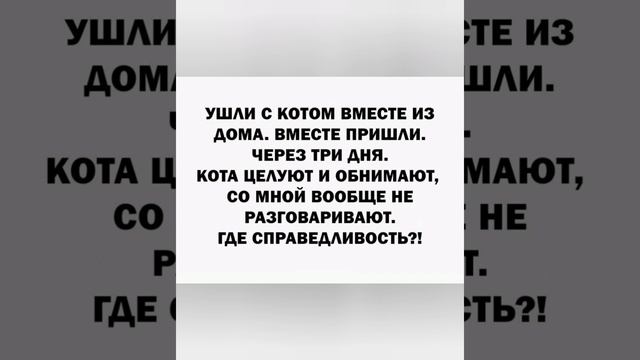 Самый лучший юмор 🔥