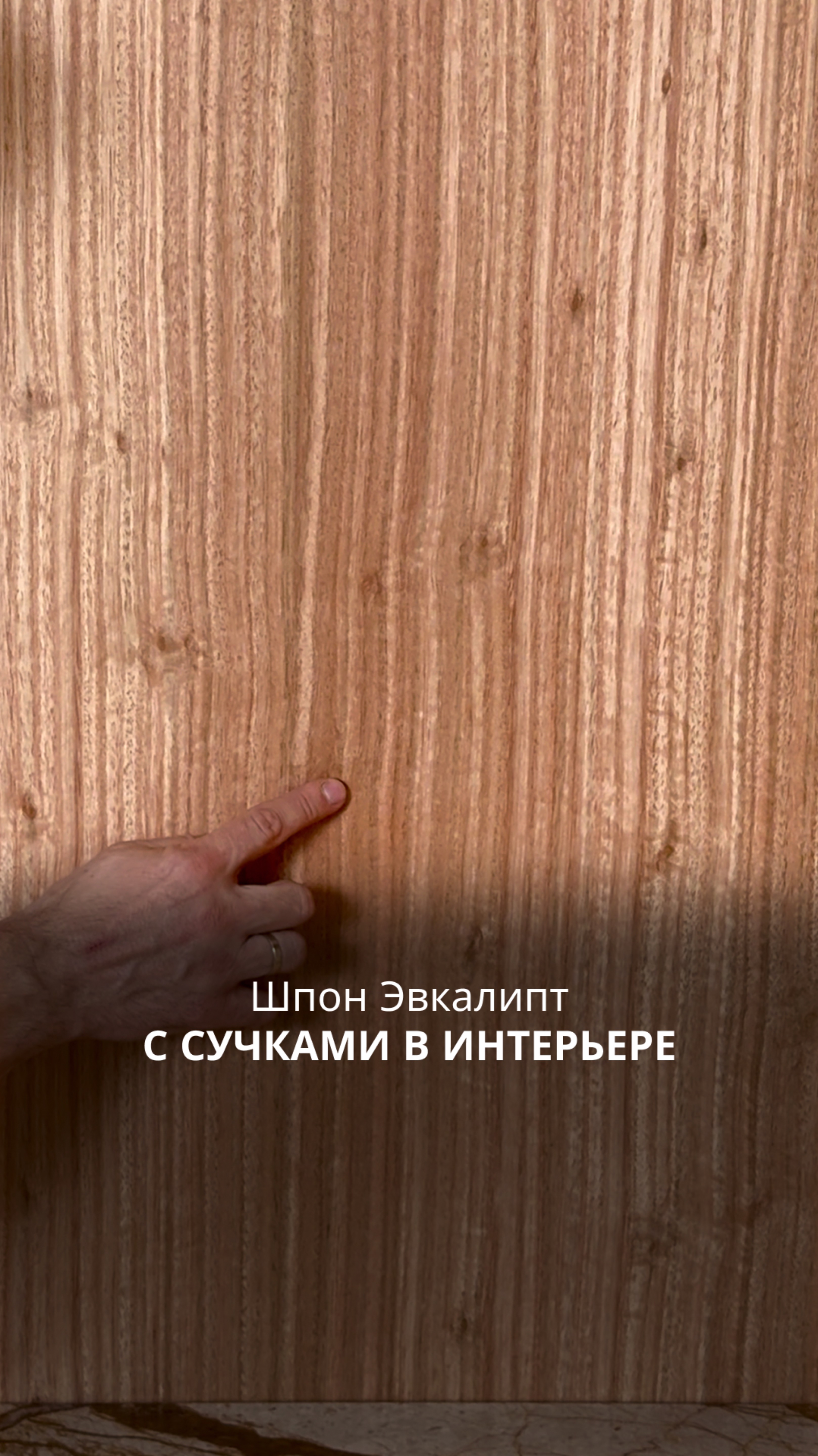 Шпон Эвкалипт с сучками смотреть онлайн