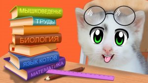 ШКОЛА КОТОВ НОВЫЕ УРОКИ! КОТ МАЛЫШ и МУРКА 24 ЧАСА В ШКОЛЕ! БАФФИ УЧИТ КОТЯТ | А ну-ка давай-ка