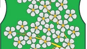 Очередное заседание Совета депутатов мун. округа Черемушки в городе Москве №39 от 15.04.2025г.