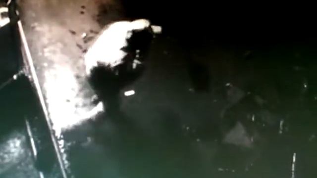 Загадочные существа часть 10 смотреть онлайн