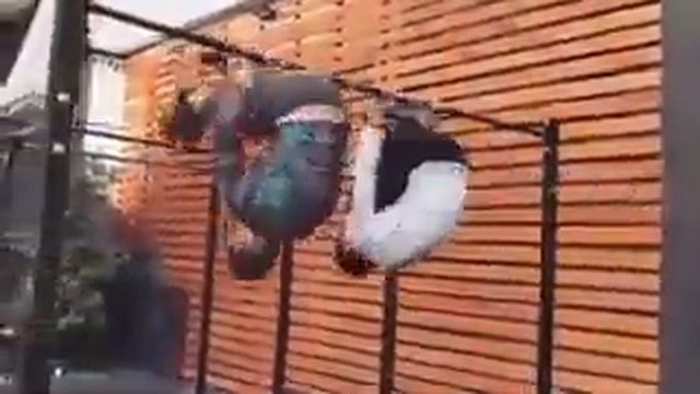 SPORT : Мотивация - Street Workout : #1