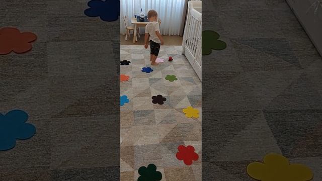 🐞🐞🐞 Сенсорика, закрепляем цвета смотреть онлайн