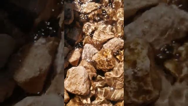 охота на саламандру часть1 смотреть онлайн