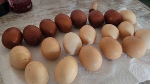 Старт инкубации в 2025г ))) очень поздно начали...