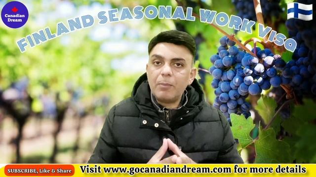 🇫🇮 Finland Seasonal Work Visa 2024 for Fruit Picking JOBS IN FINLAND | GOLDEN CHANCE |Canadian Drea