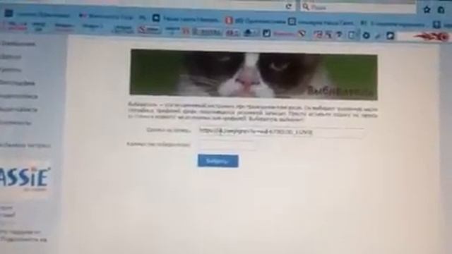 видео розыгрыша 23 сентября аист смотреть онлайн