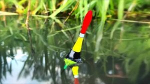 ЗАБРАЛСЯ В ЛОГОВО РЕАЛЬНЫХ КАРАСЕЙ И ЛИНЕЙ Рыбалка на поплавок