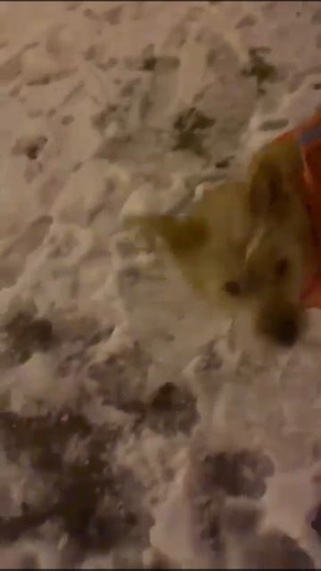 Ника ❤️ смотреть онлайн