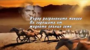Диви коне....avi