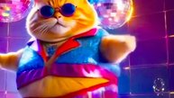 24/7 Смешные Говорящие Коты, Танцующие котики, милые котята / Сборник Подборка забавных видео котов