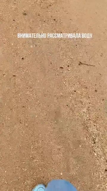 Азовское море