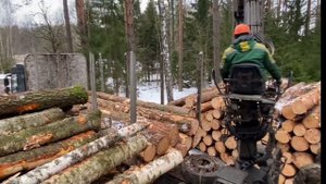 Форвардер и лесовоз в работе