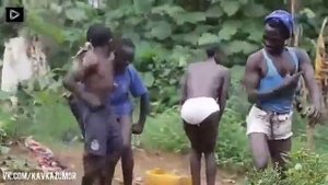 Песня ди лайла