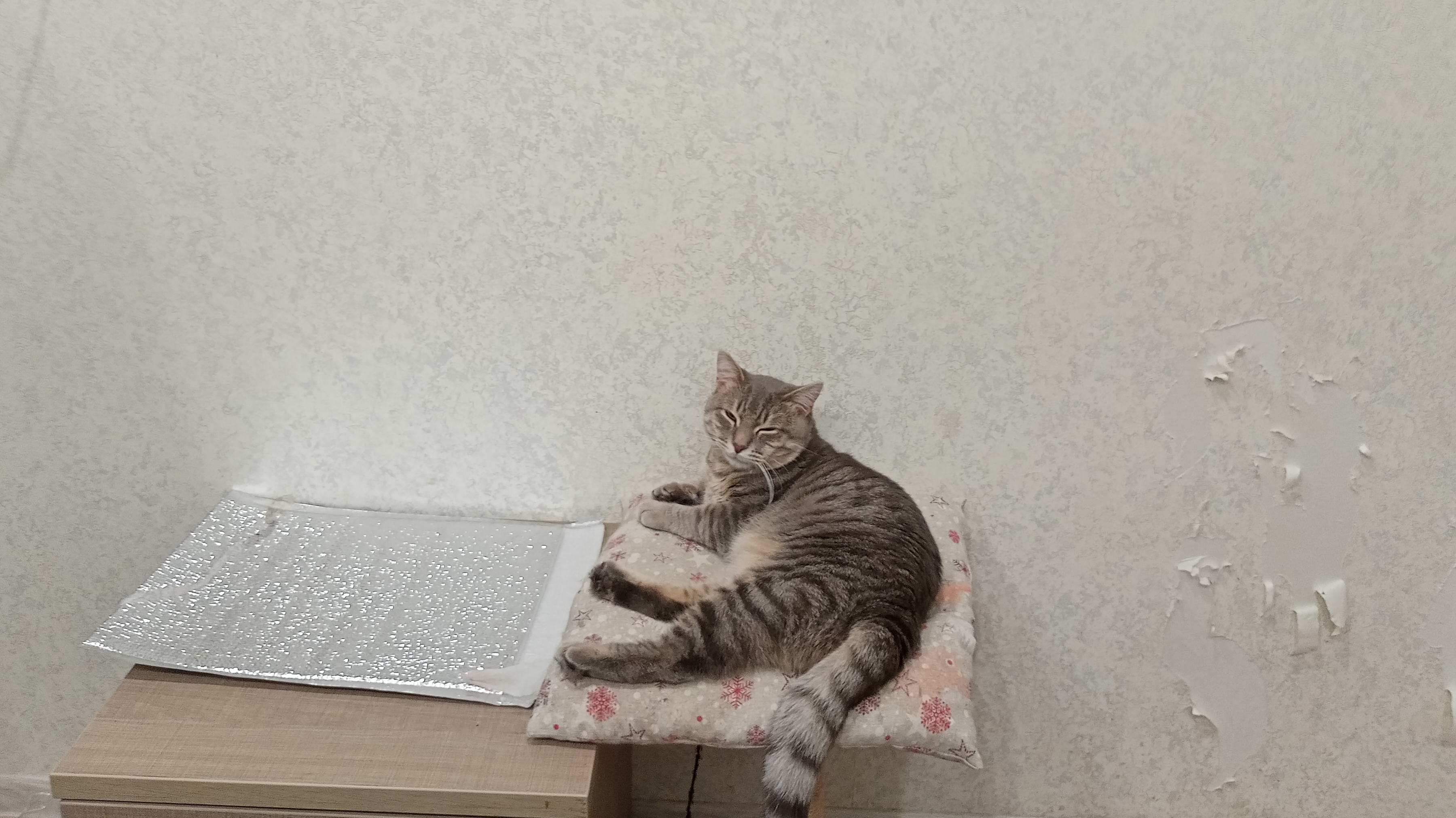 деревенский отдых, счастье в деревне
