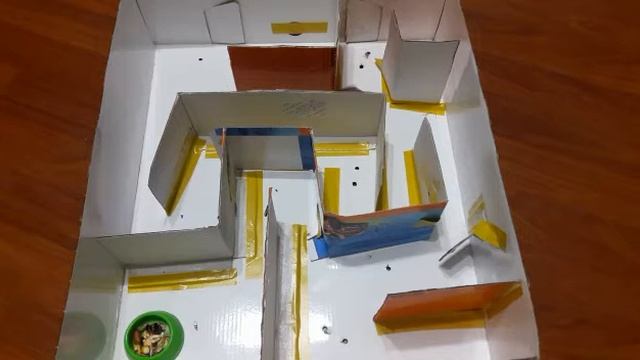 Хомяк в лабиринте, картонная коробка самодельный лабиринт смотреть онлайн