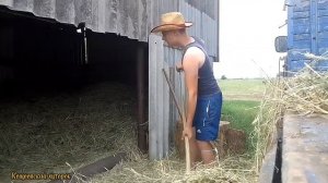 Новое видео спустя 3 месяца!!! Заготовка сена//Овцы//Кролики//Кощеевский хуторок