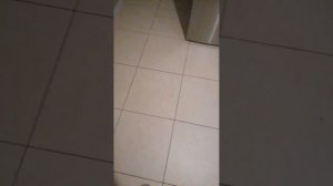 Вкуснючий ужин 😍 Обзор маленький квартиры 🤗