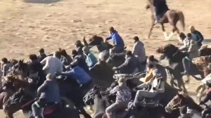 Афросиёб пахлавон бузкашии Новичомок як АСП 1500 сомони бо аспи раиси Ҷ д Косатарош.