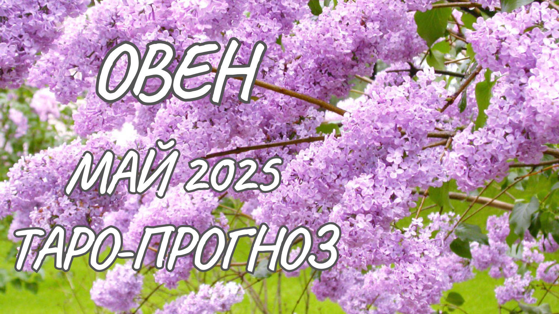Овен ♈ Таро-прогноз на май 2025 года