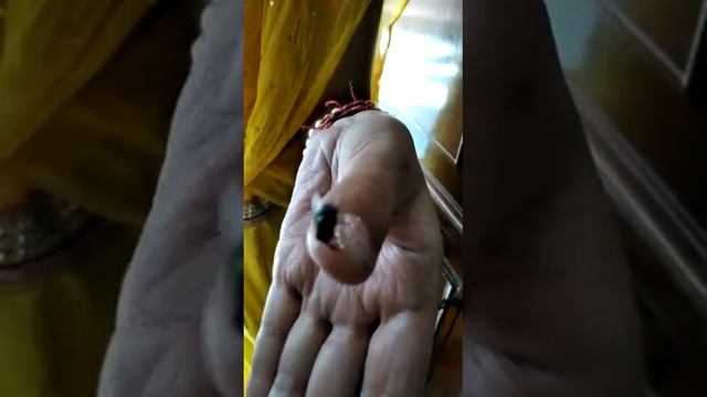 Танец мухи 😀😀😀 смотреть онлайн