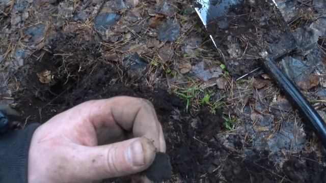 Коп в конце января. смотреть онлайн