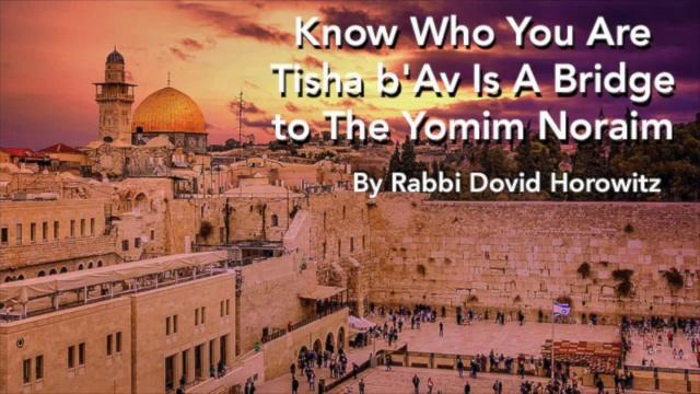 Know Who You Are: Tisha b'Av Is A Bridge to The Yomim Noraim (High Holidays) by Rabbi Dovid Horowit смотреть онлайн