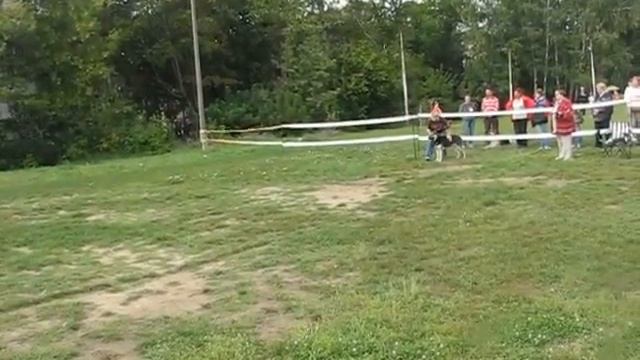 MVI_0628.AVI смотреть онлайн